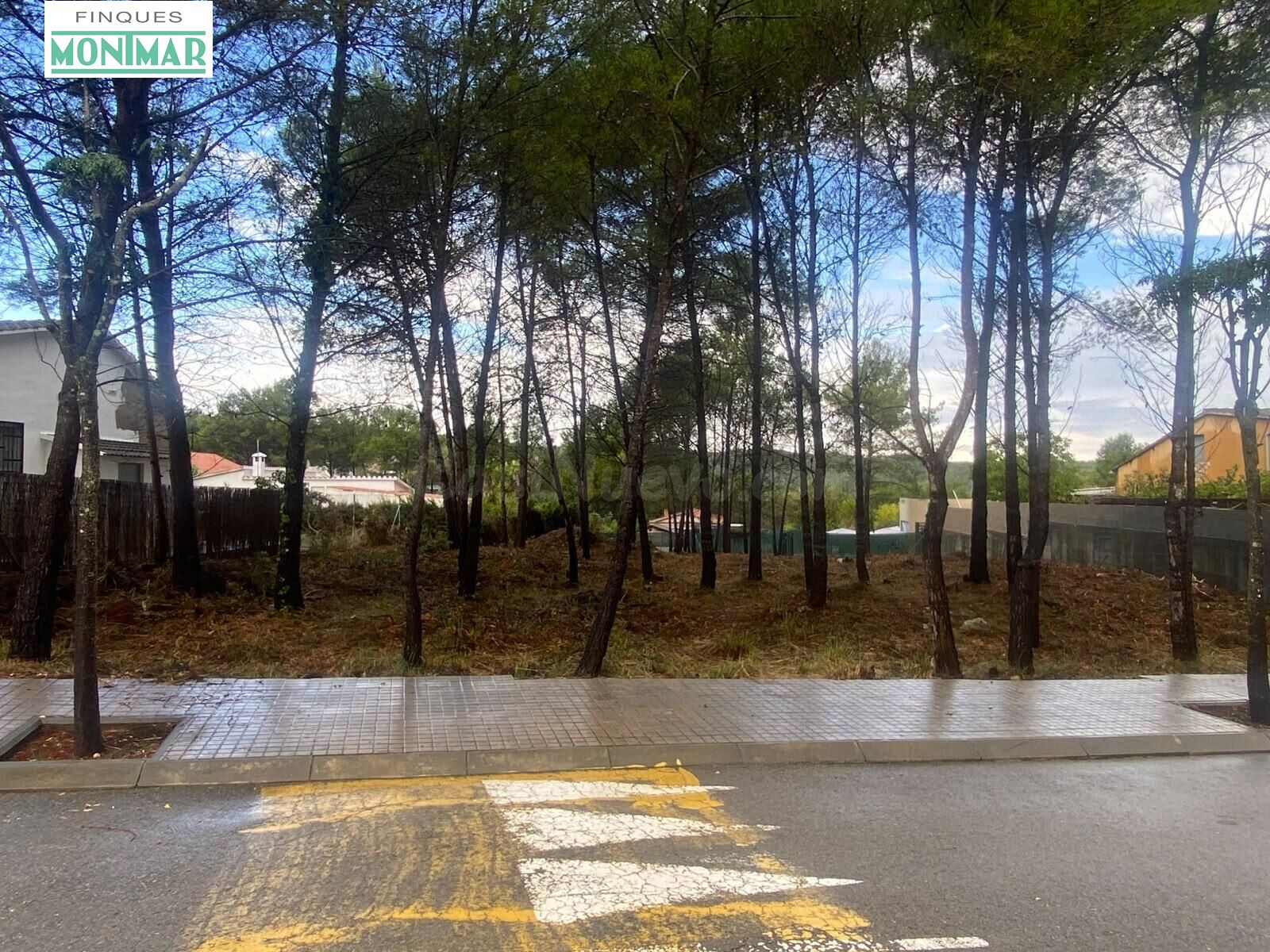 EXCEPCIONAL PARCELA URBANA EN PINEDA PARK (SANT PERE DE RIBE - foto 2