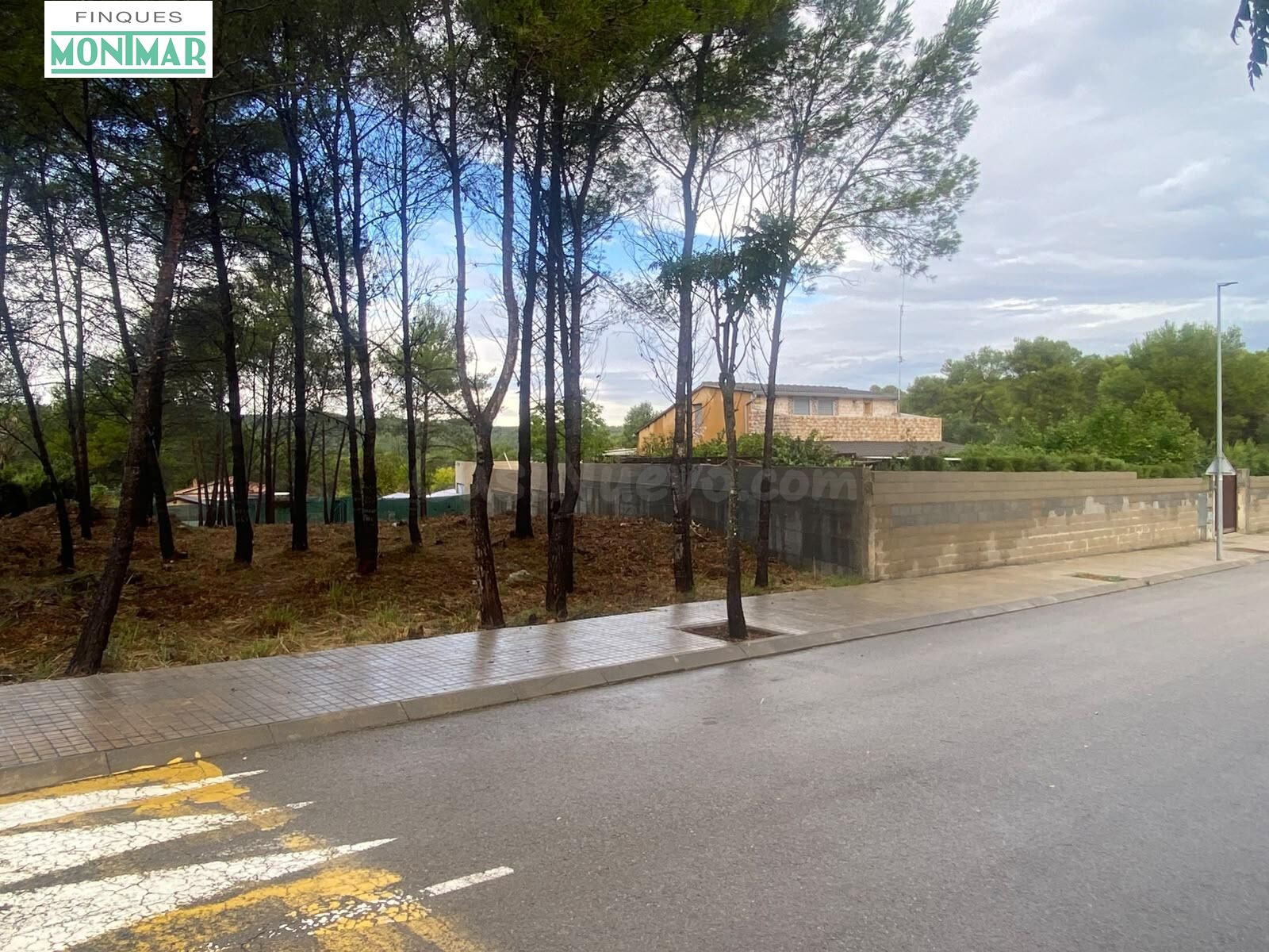 EXCEPCIONAL PARCELA URBANA EN PINEDA PARK (SANT PERE DE RIBE - foto 3