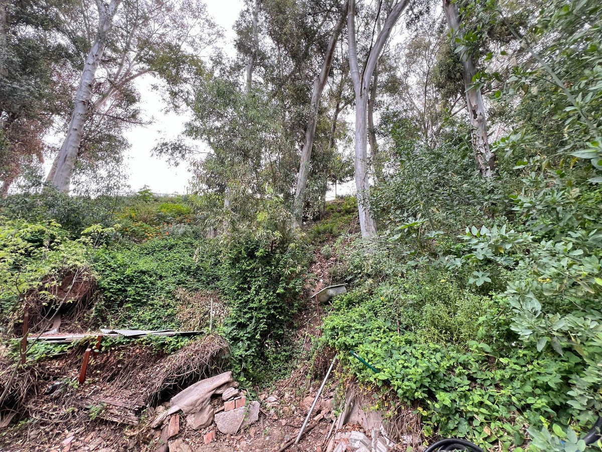 Parcela 1469m² en venta - Limonar
