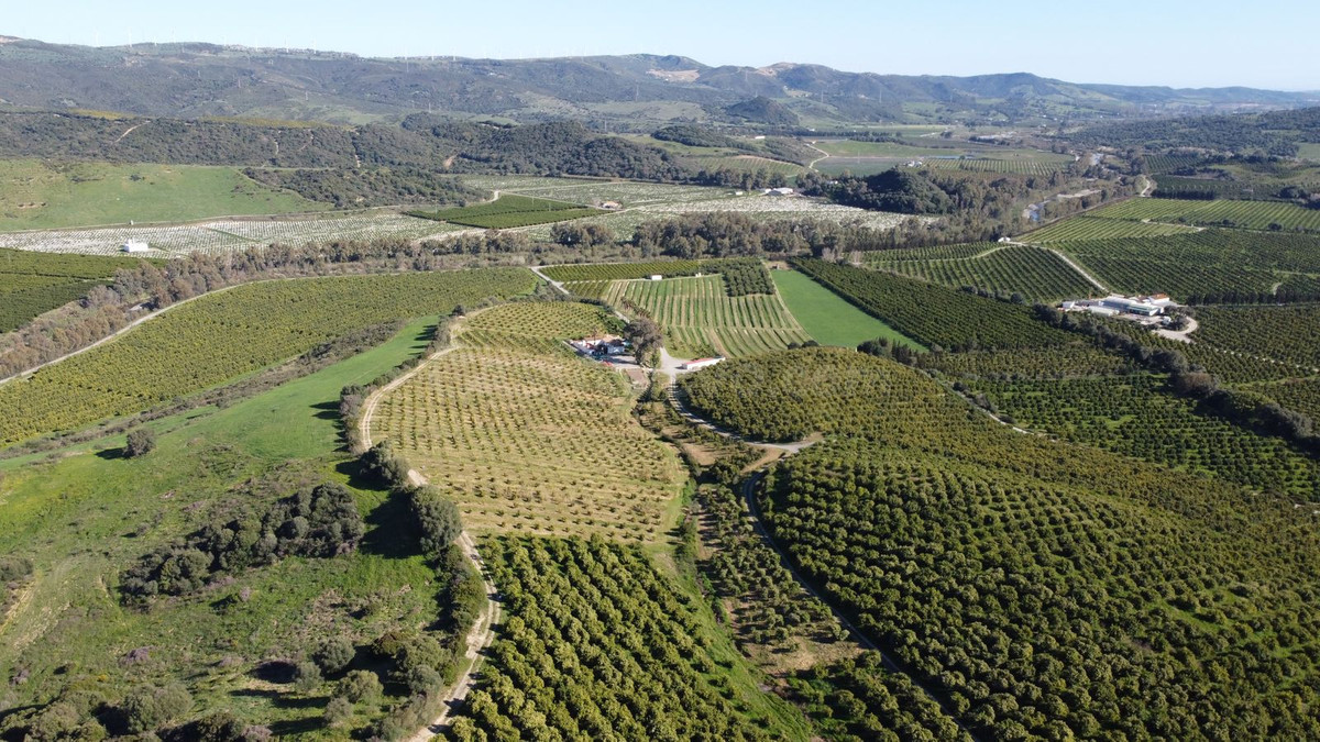 Parcela 667m² en venta - Costa Del Sol