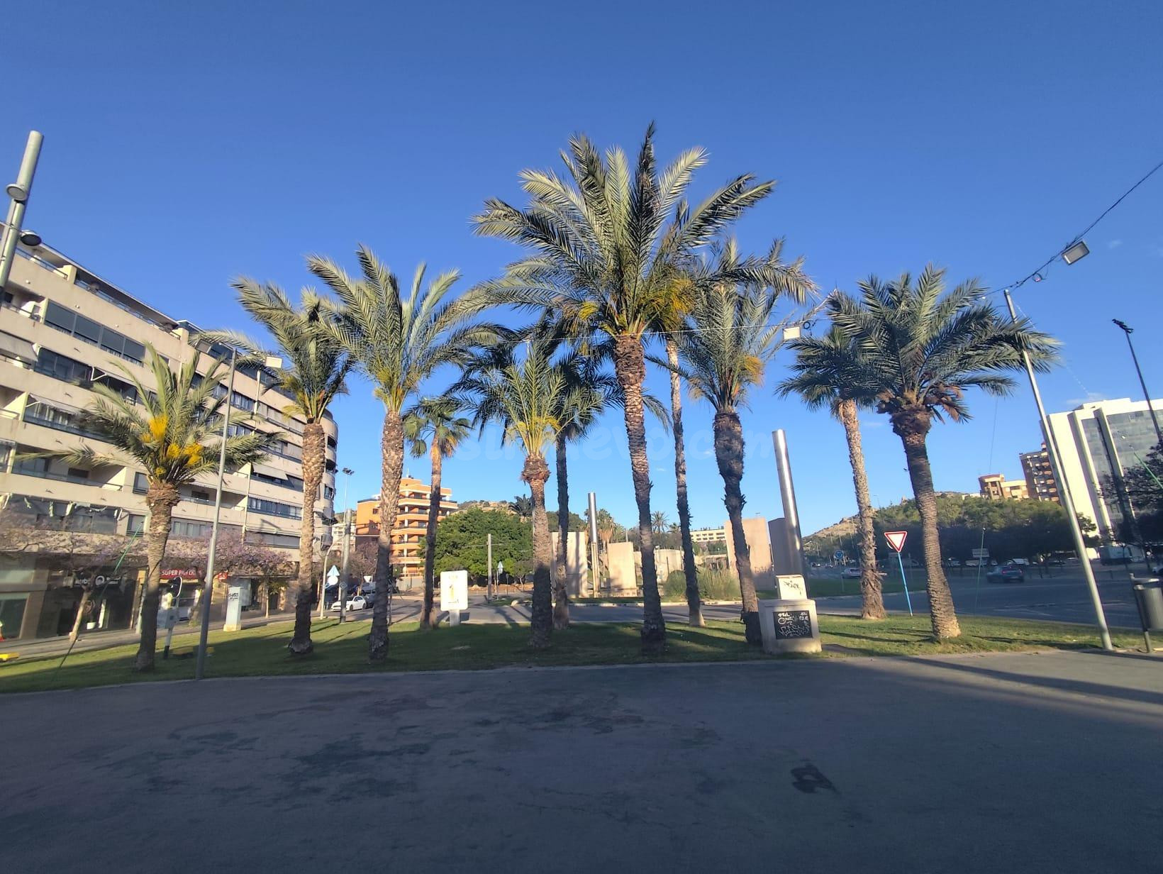 PISO EN PLA DEL BON REPOS, ALICANTE