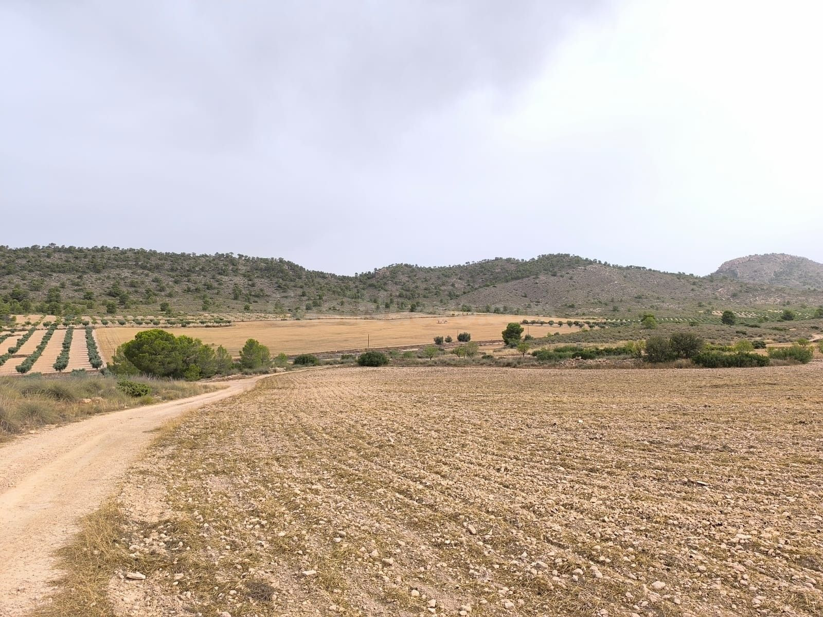Parcela en venta - Ayuntamiento - foto 2