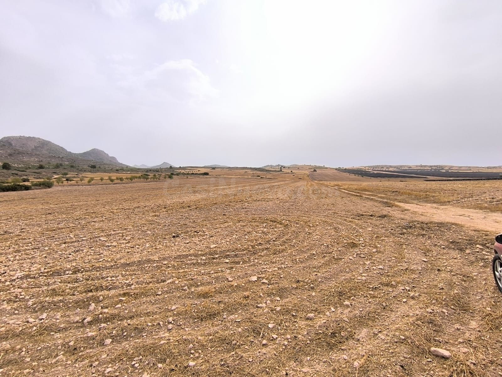 Parcela en venta - Ayuntamiento - foto 3