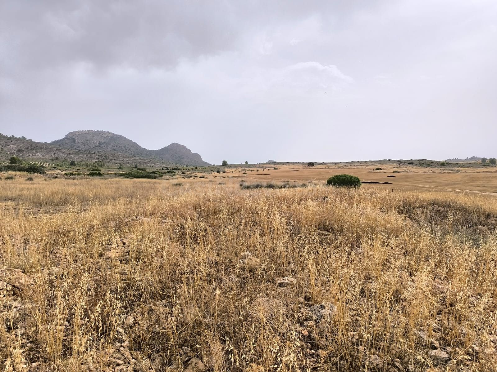 Parcela en venta - Ayuntamiento - foto 4