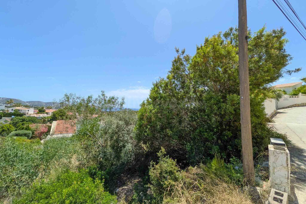 Parcela en venta - La Viña - Montemar - San Jaime - foto 5