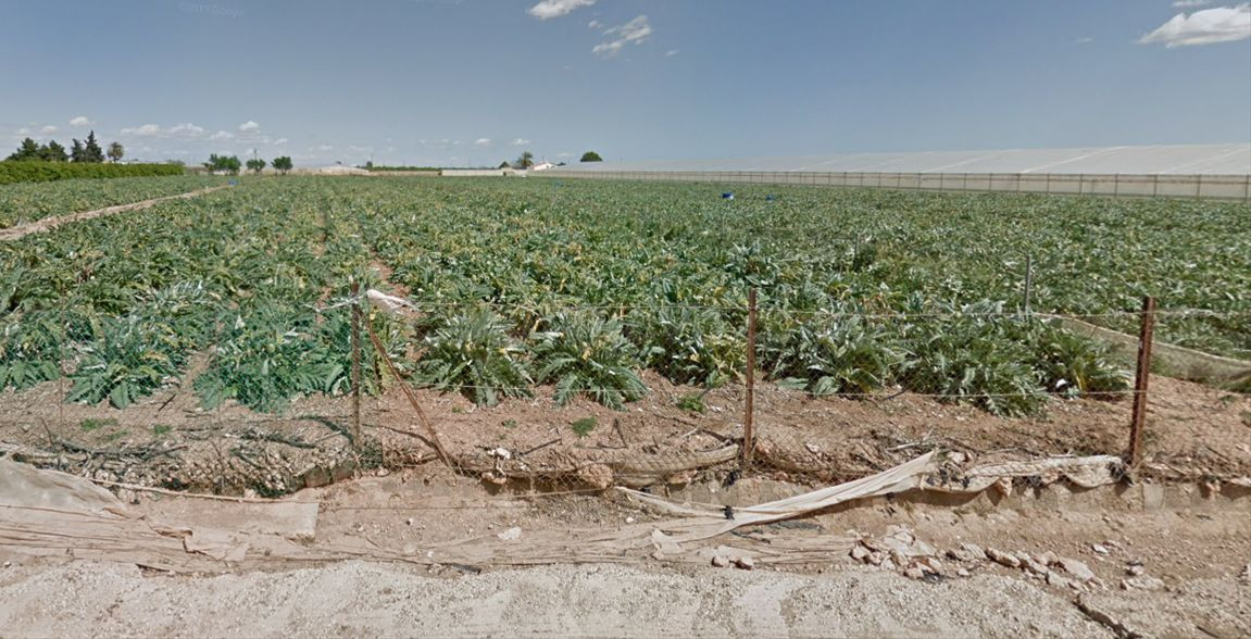 Venta terreno rústico en San Javier