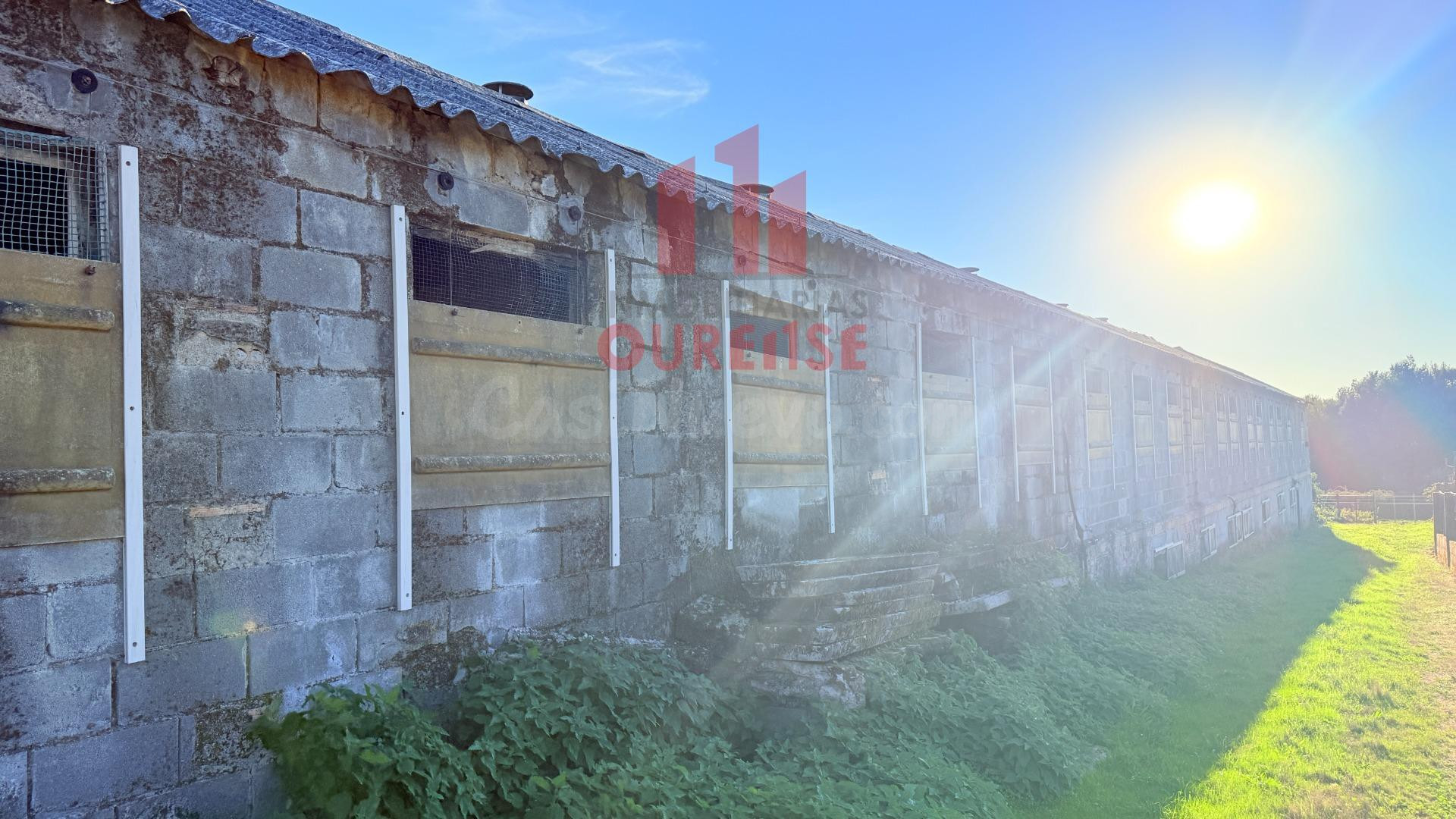 OPORTUNIDAD DE INVERSIÓN: NAVE CON PARCELA EN SAN CRISTOVO D - foto 4