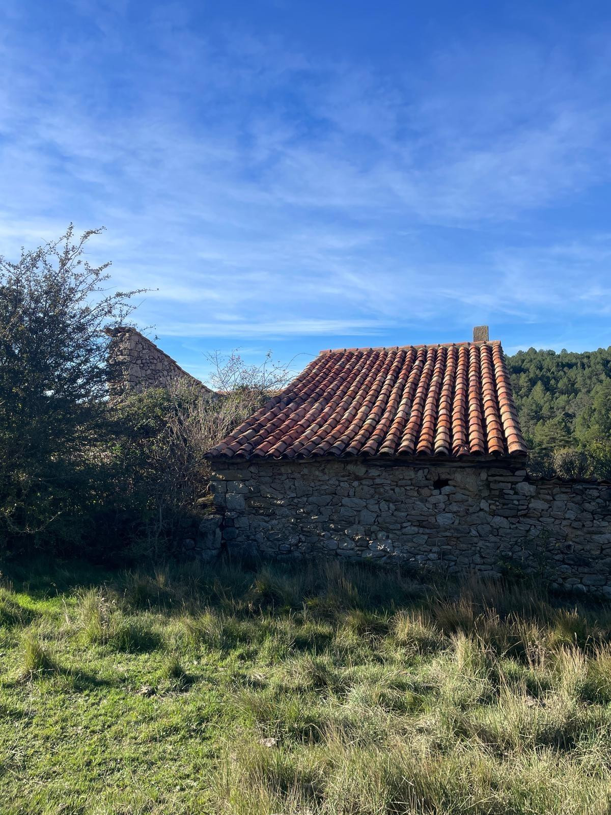 Finca rústica con masía en El Boixar - foto 5