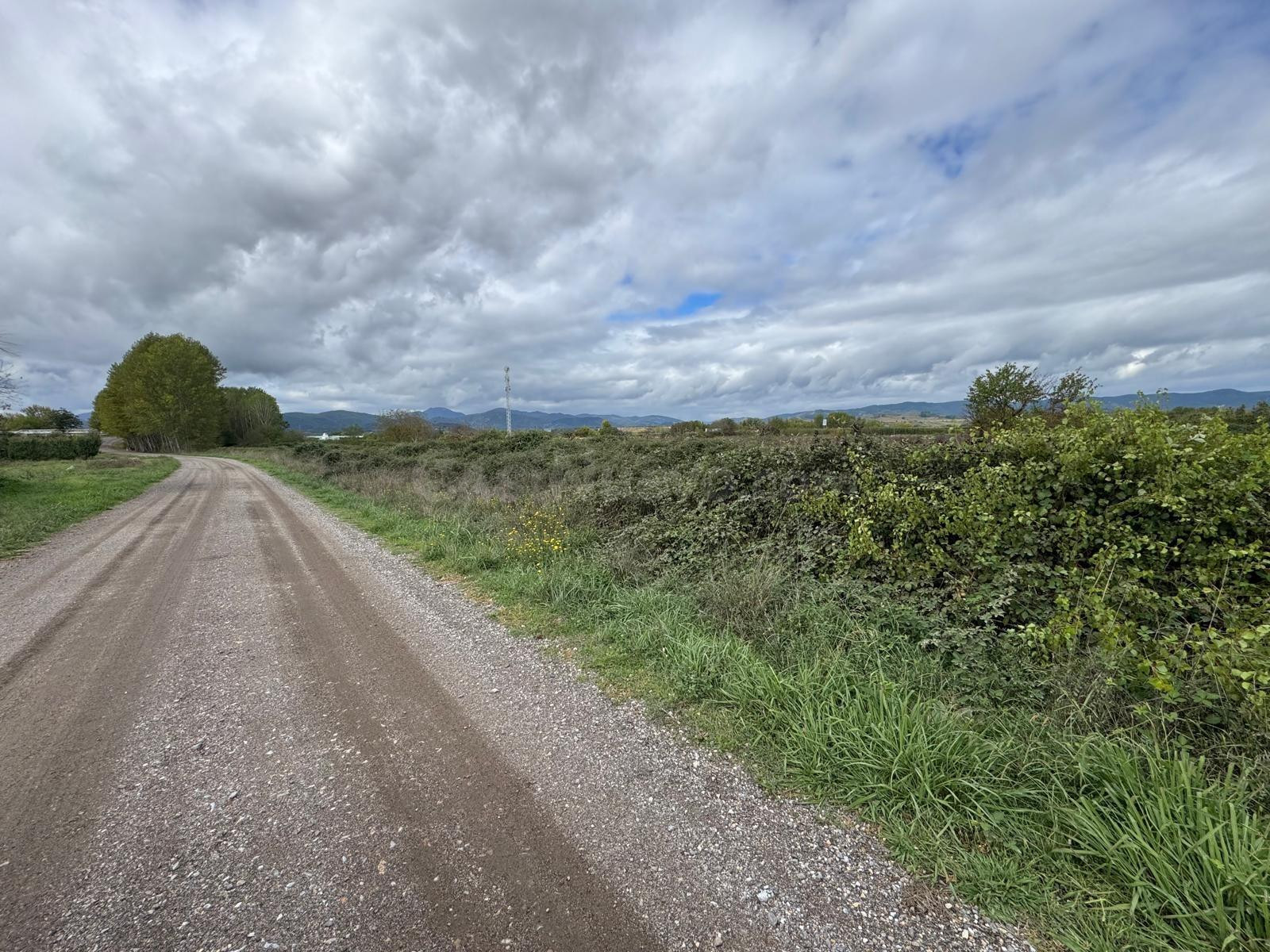 SE VENDE 8.800 M2 DE TERRENO RUSTICO EN CARRACEDELO