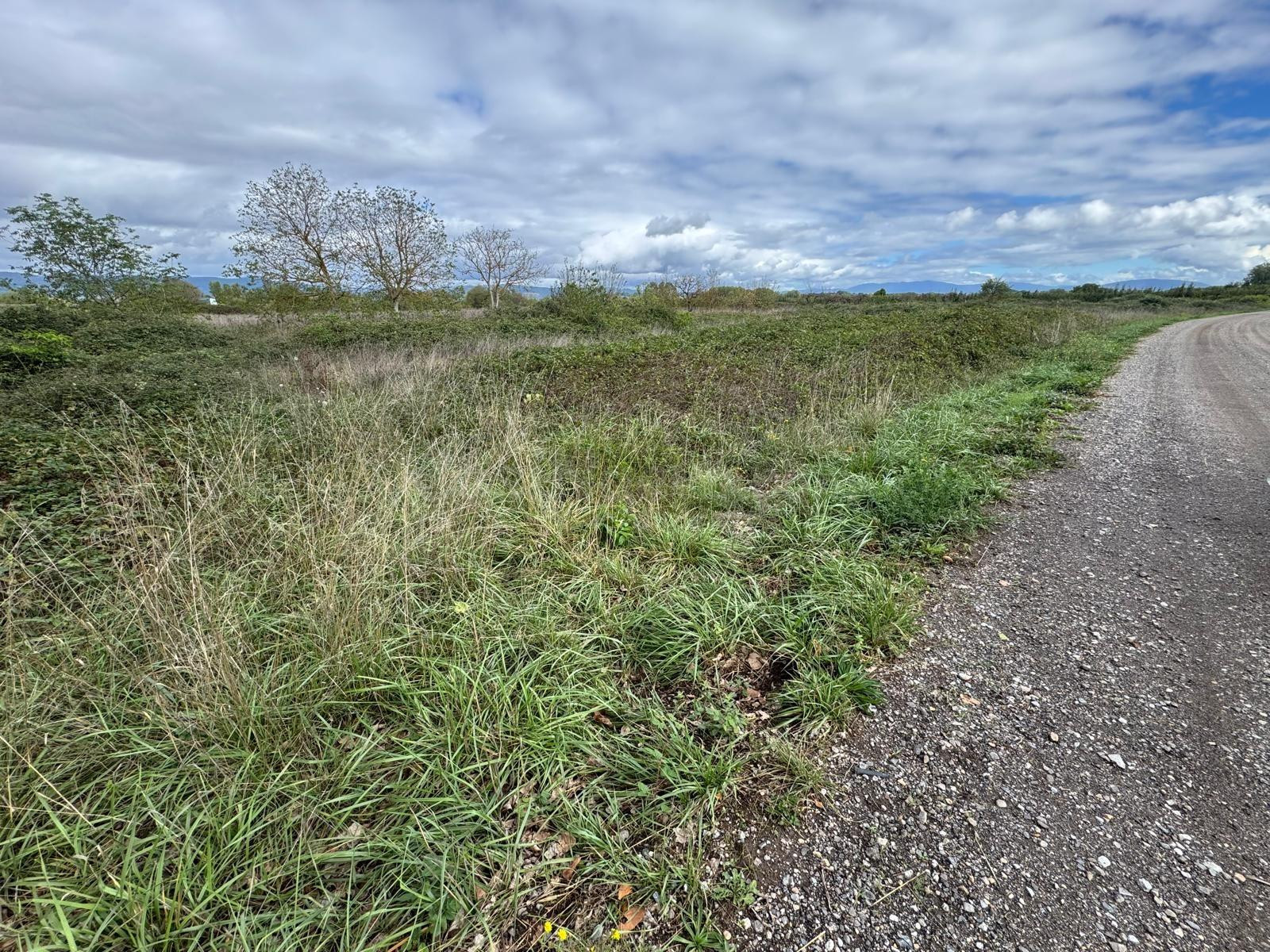 SE VENDE 8.800 M2 DE TERRENO RUSTICO EN CARRACEDELO - foto 2