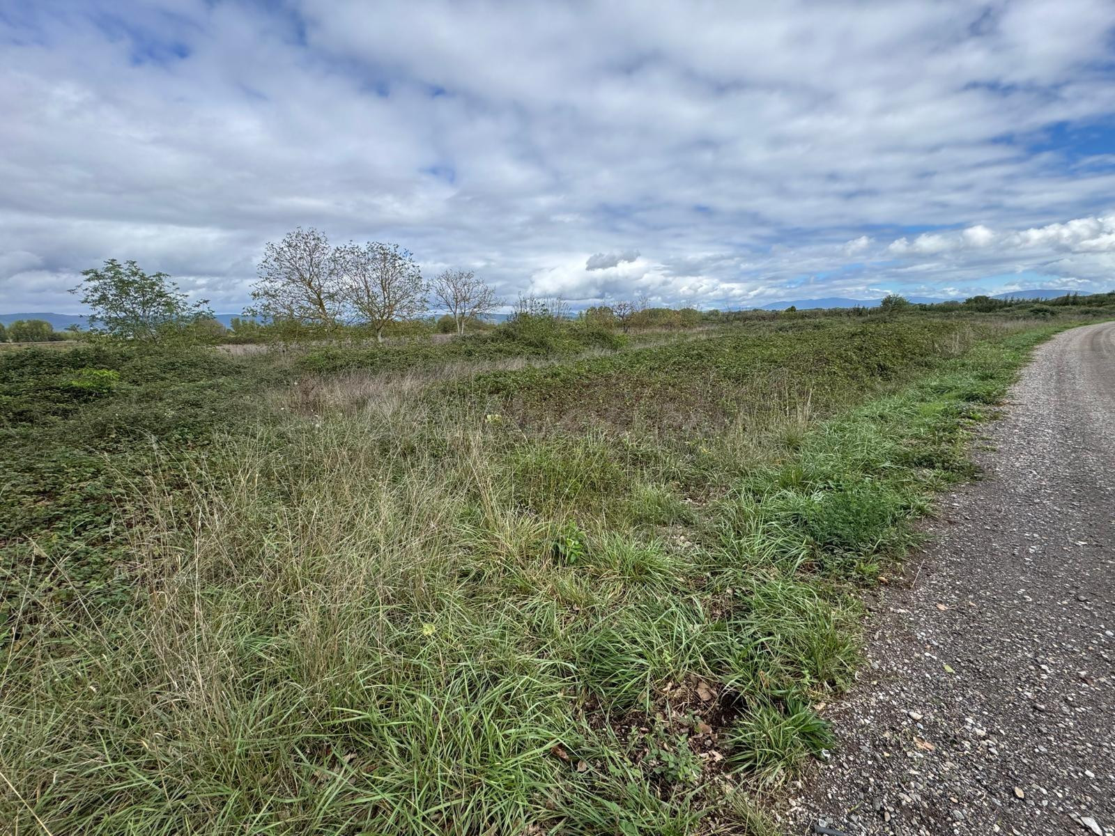 SE VENDE 8.800 M2 DE TERRENO RUSTICO EN CARRACEDELO - foto 3