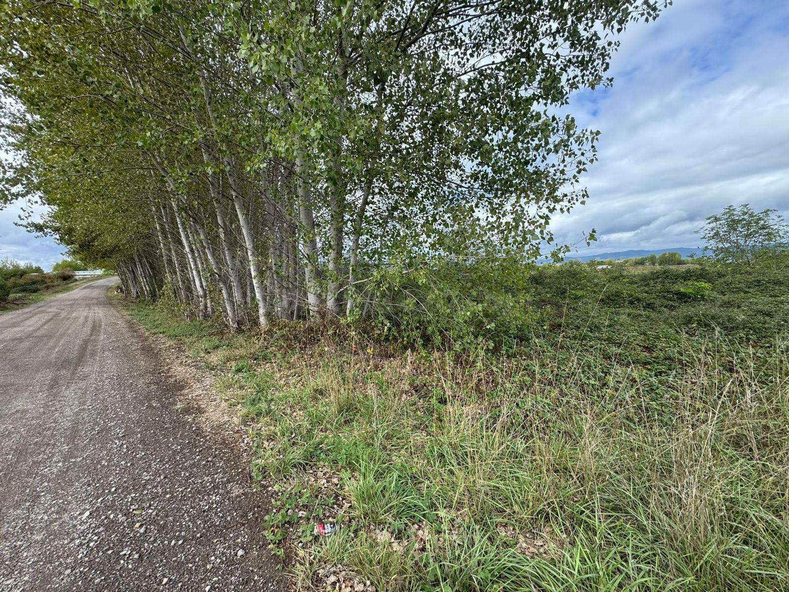 SE VENDE 8.800 M2 DE TERRENO RUSTICO EN CARRACEDELO - foto 4