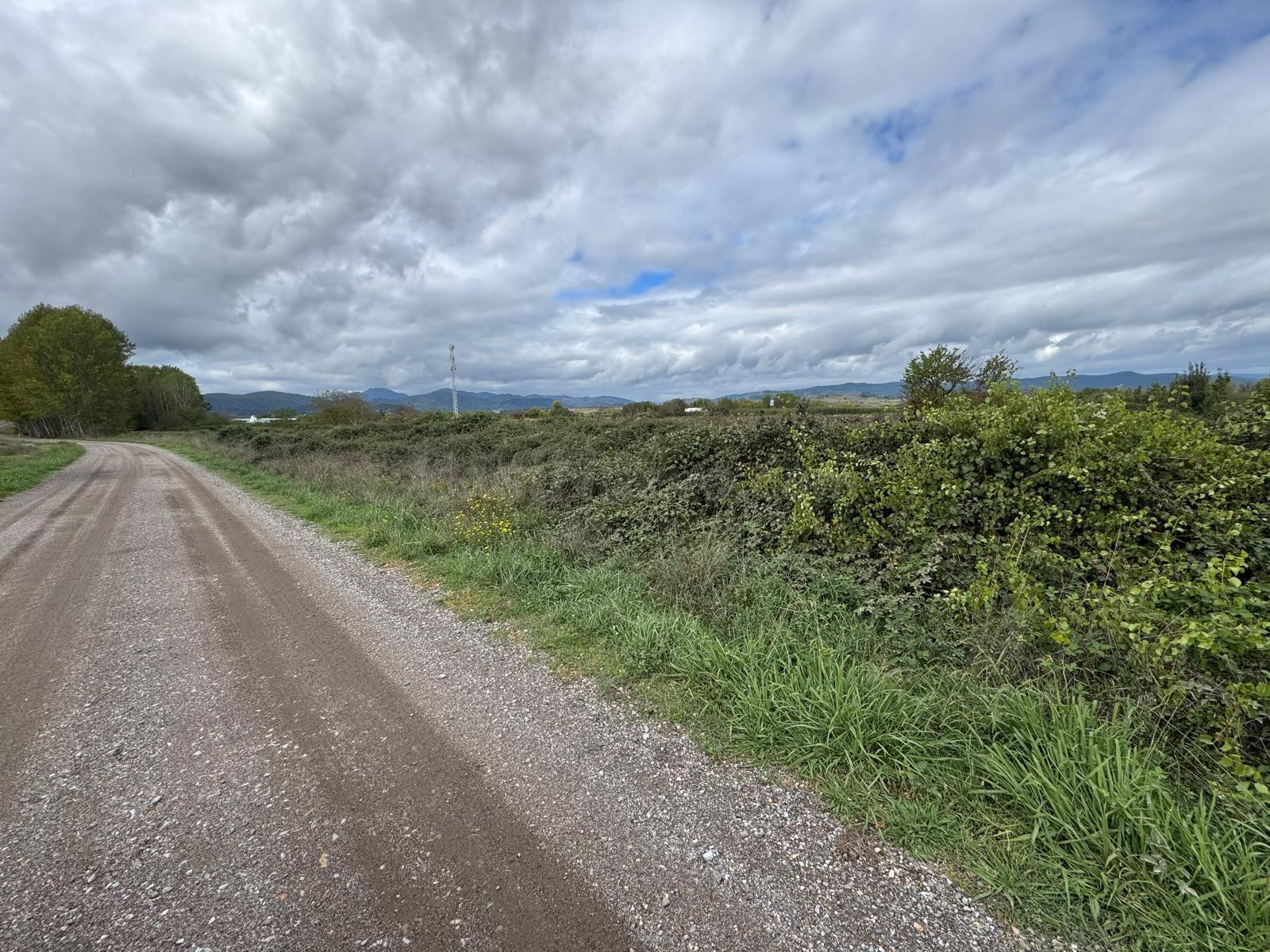 SE VENDE 8.800 M2 DE TERRENO RUSTICO EN CARRACEDELO - foto 5