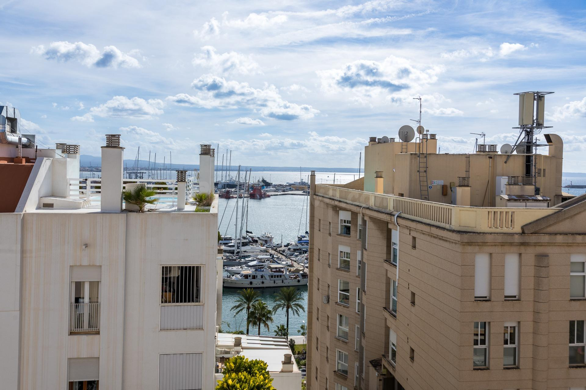 Ático en venta en Palma - foto 5