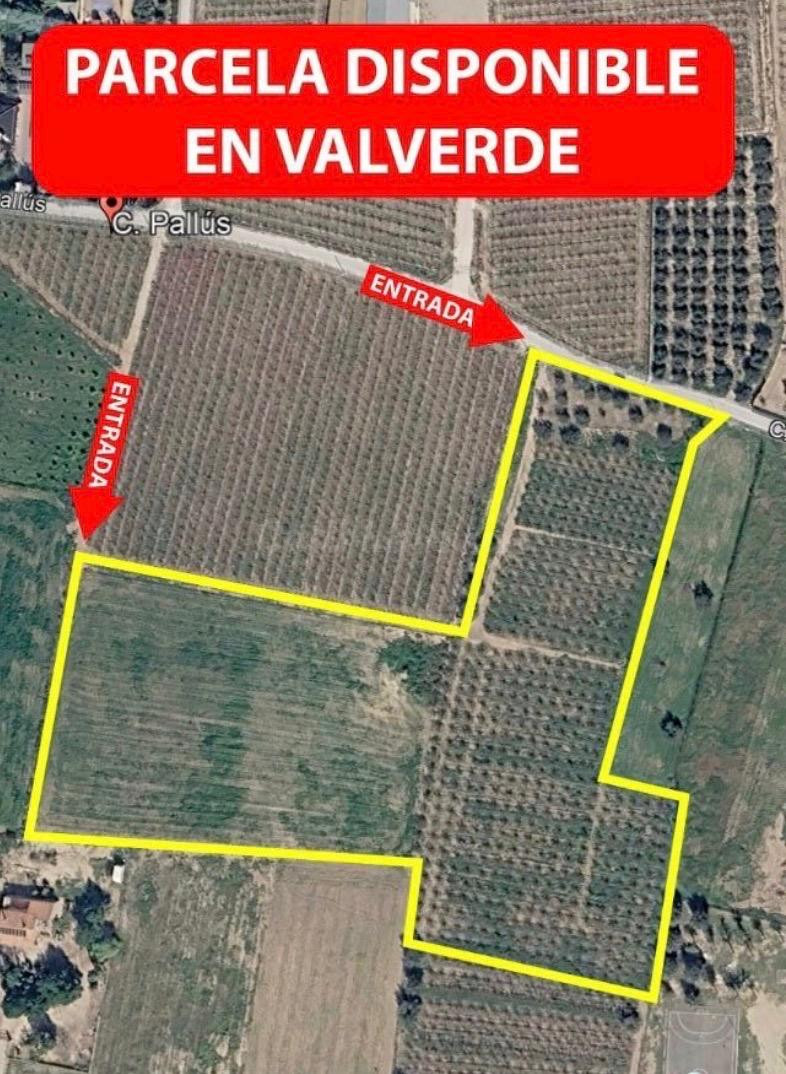 Parcela a la venta en Elche, zona Valverde. - foto 2