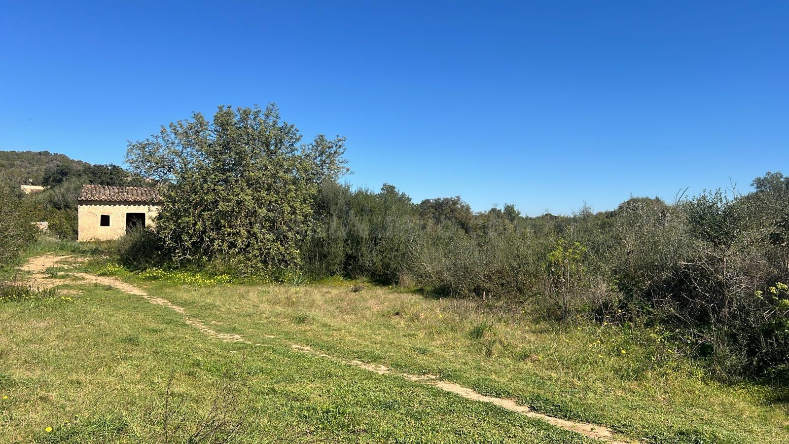 Se vende finca rústica con caseta en Marratxí