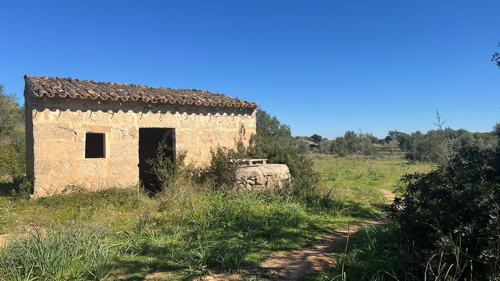 Se vende finca rústica con caseta en Marratxí - foto 2