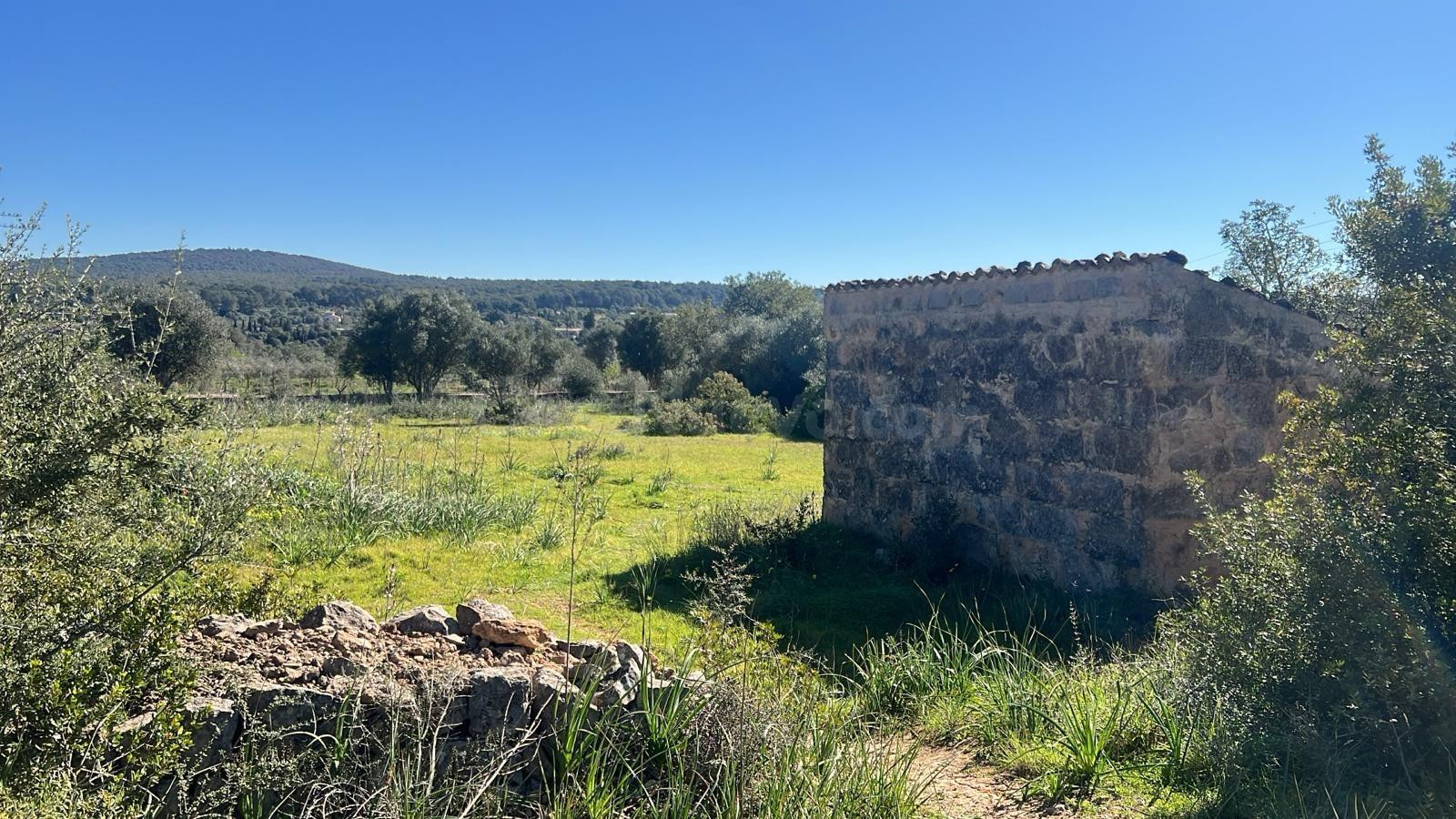 Se vende finca rústica con caseta en Marratxí - foto 3