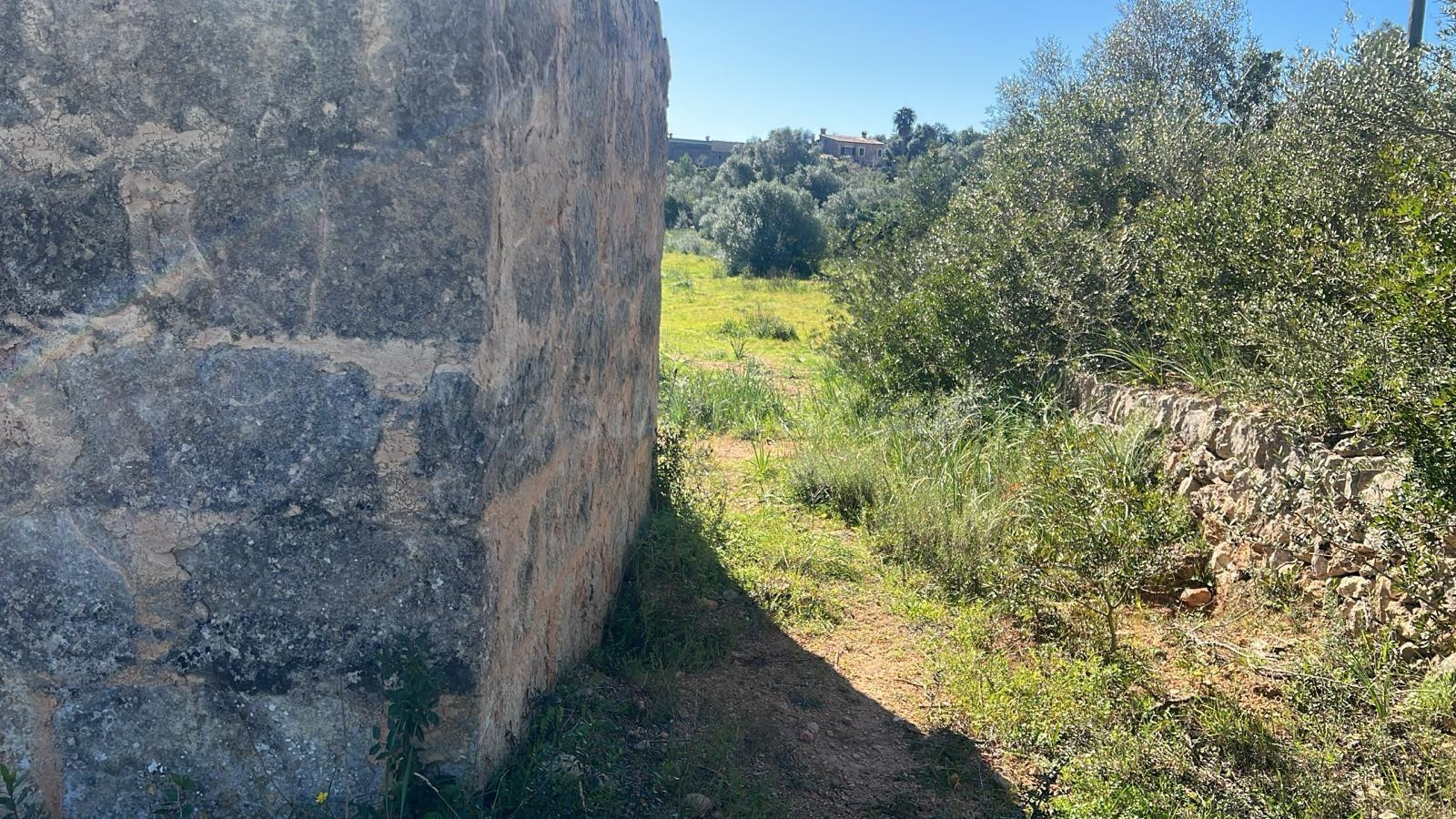 Se vende finca rústica con caseta en Marratxí - foto 4