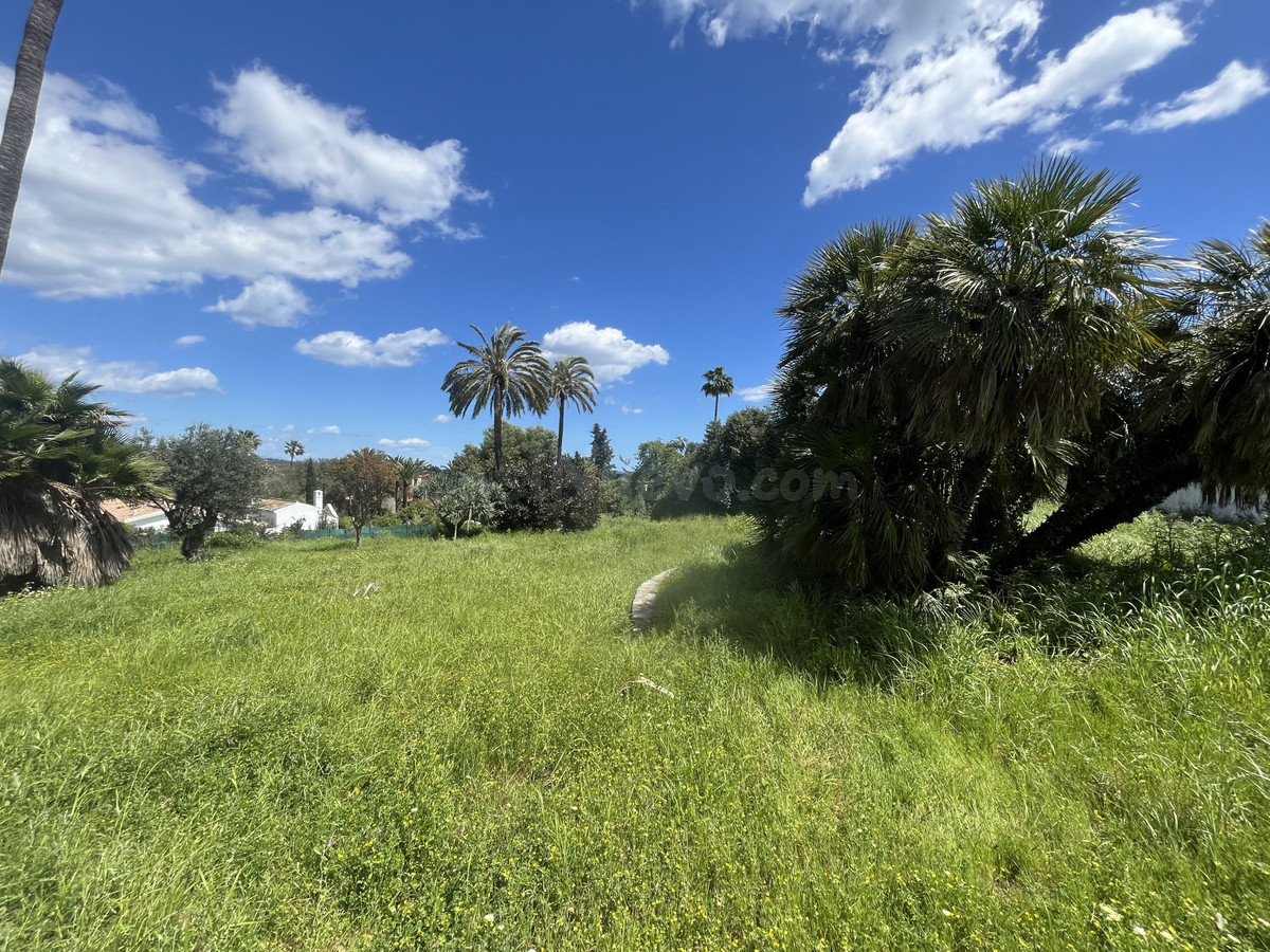 Parcela en venta - Sotogrande Costa - foto 3
