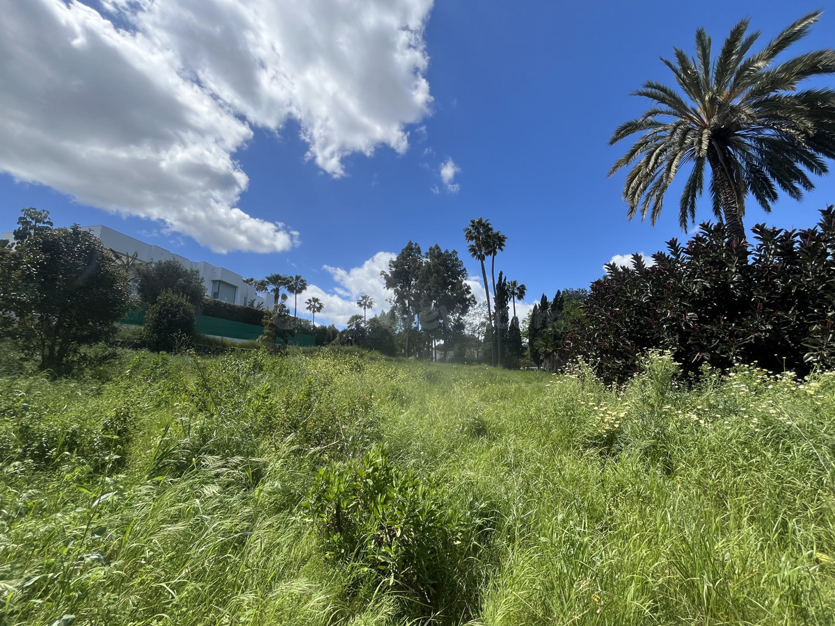 Parcela en venta - Sotogrande Costa - foto 5