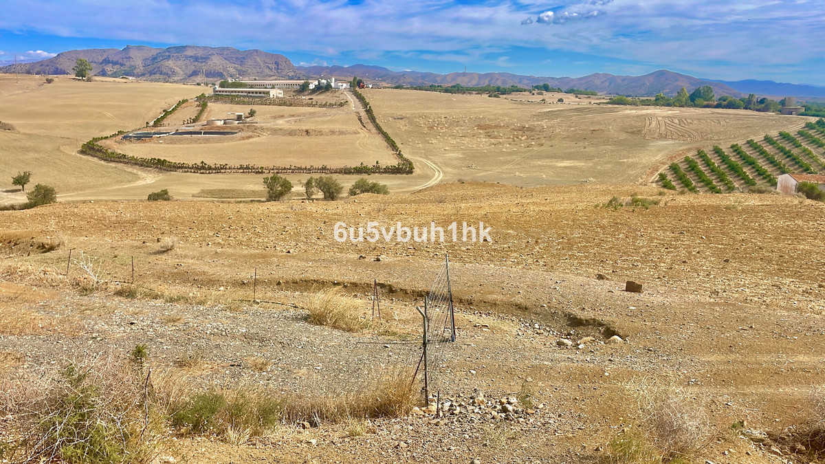 Parcela en venta - Can bosc 1 - foto 3