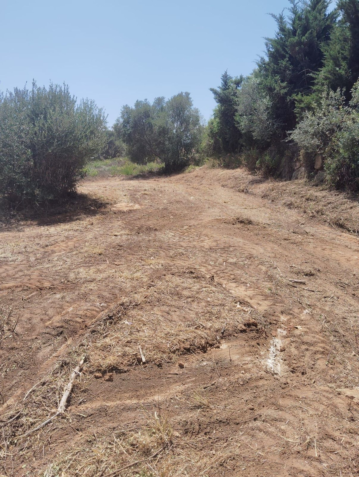 Parcela en venta - San Roque Pueblo - foto 4