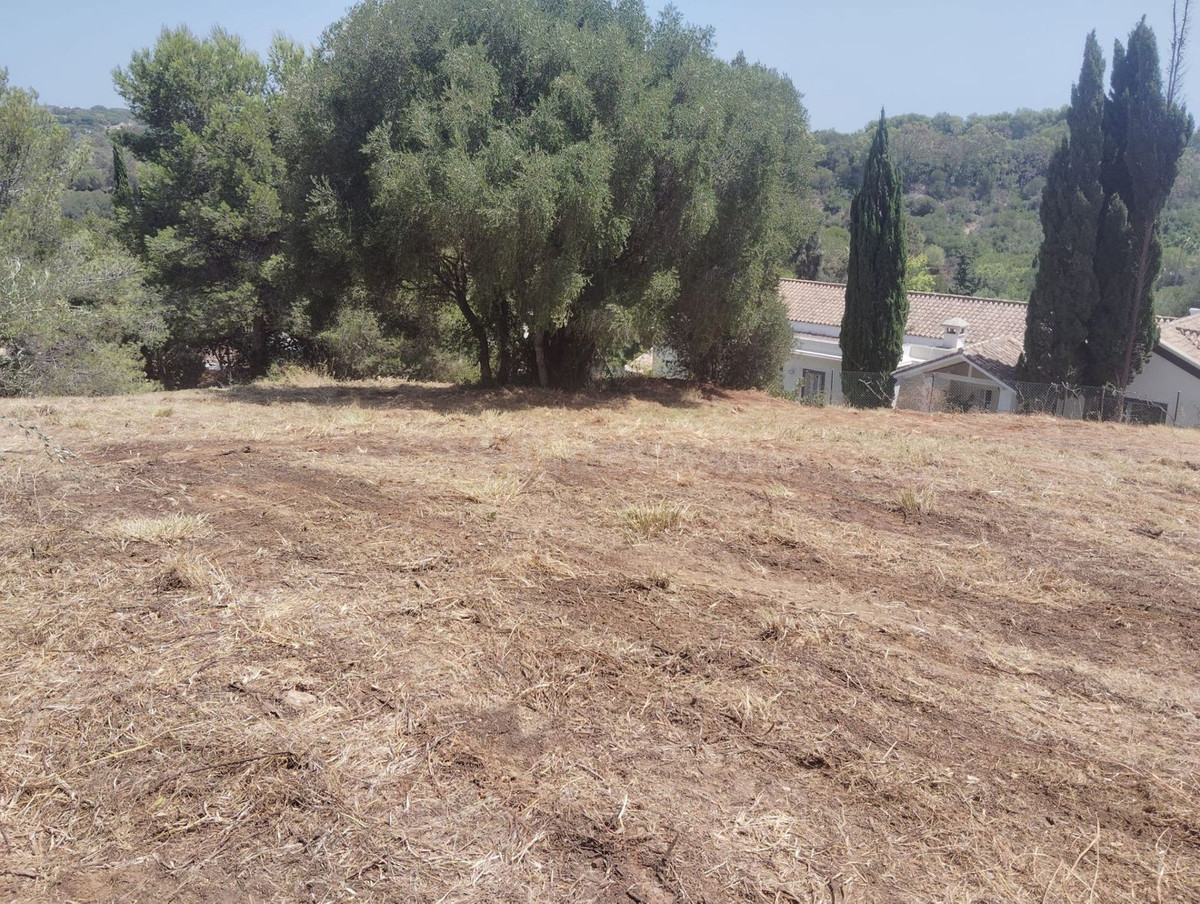 Parcela en venta - San Roque Pueblo - foto 5