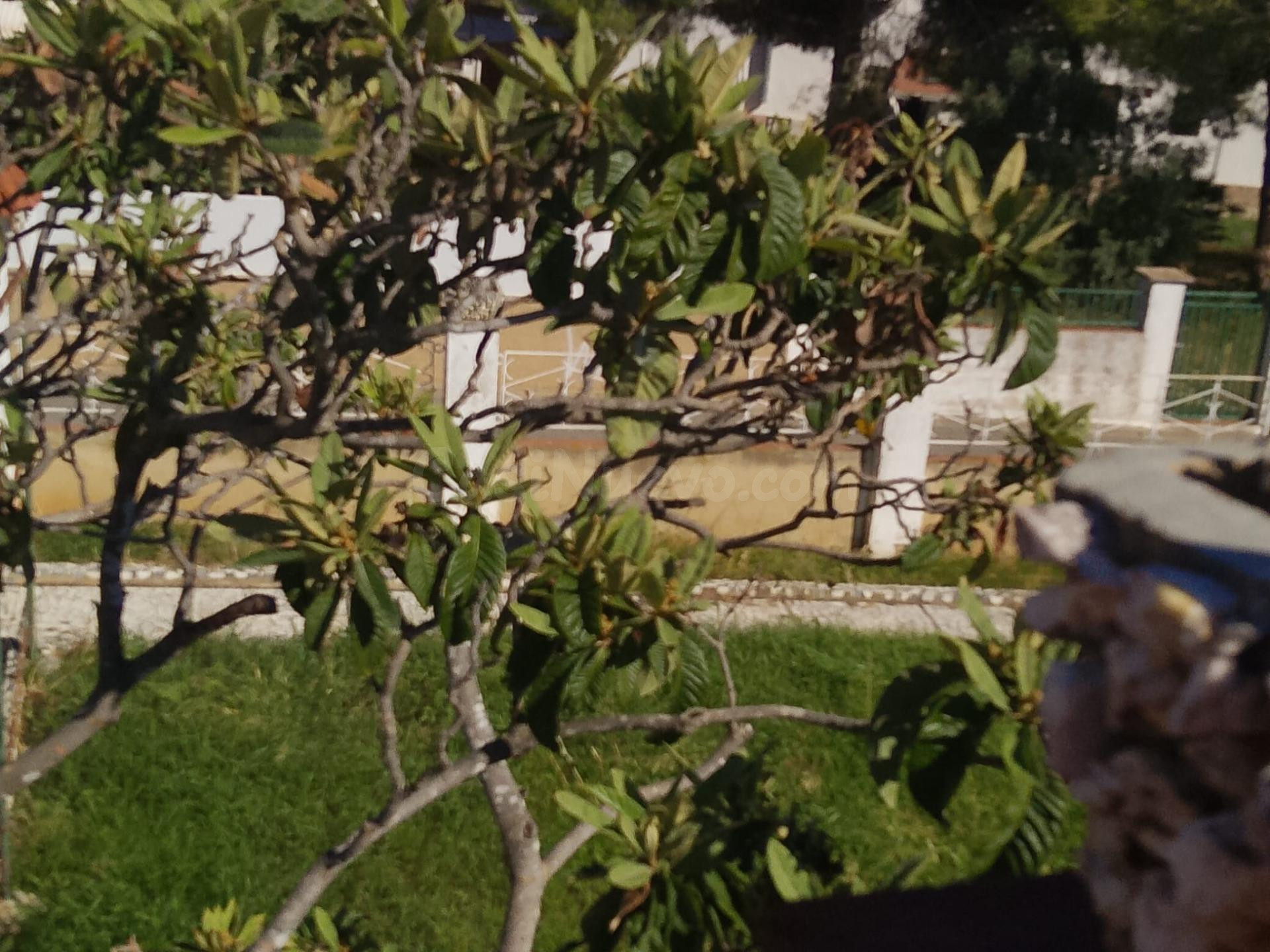 CASA EN VENTA EN SANTA OLIVA- LES PEDRERES