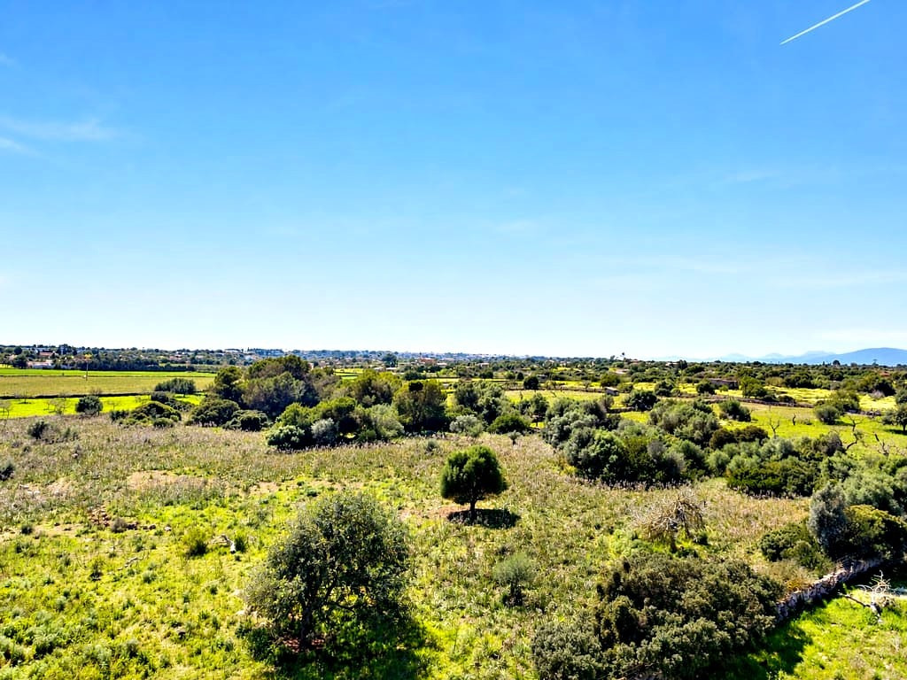 Solar residencial en Venta en Manacor Baleares - foto 4