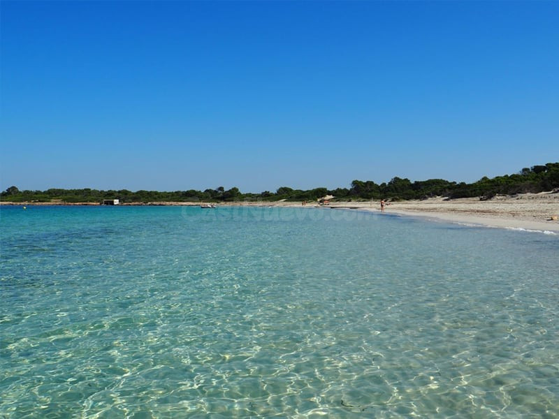 Apartamento en Venta en Salines, ses Baleares - foto 5