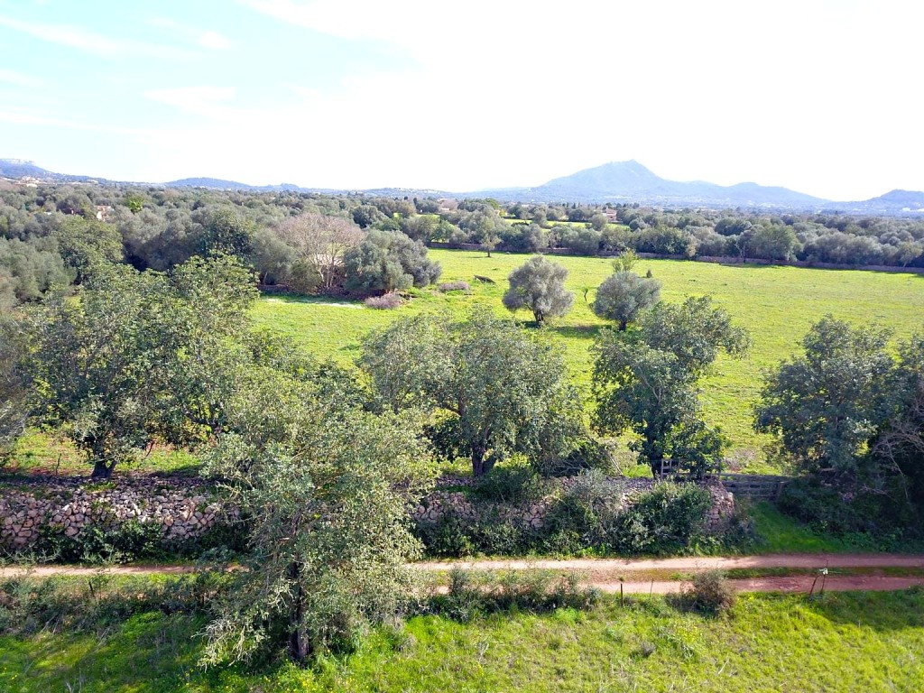 Solar residencial en Venta en Felanitx Baleares - foto 2
