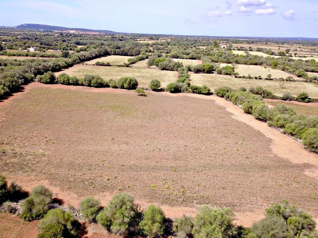 Solar residencial en Venta en Felanitx Baleares - foto 4