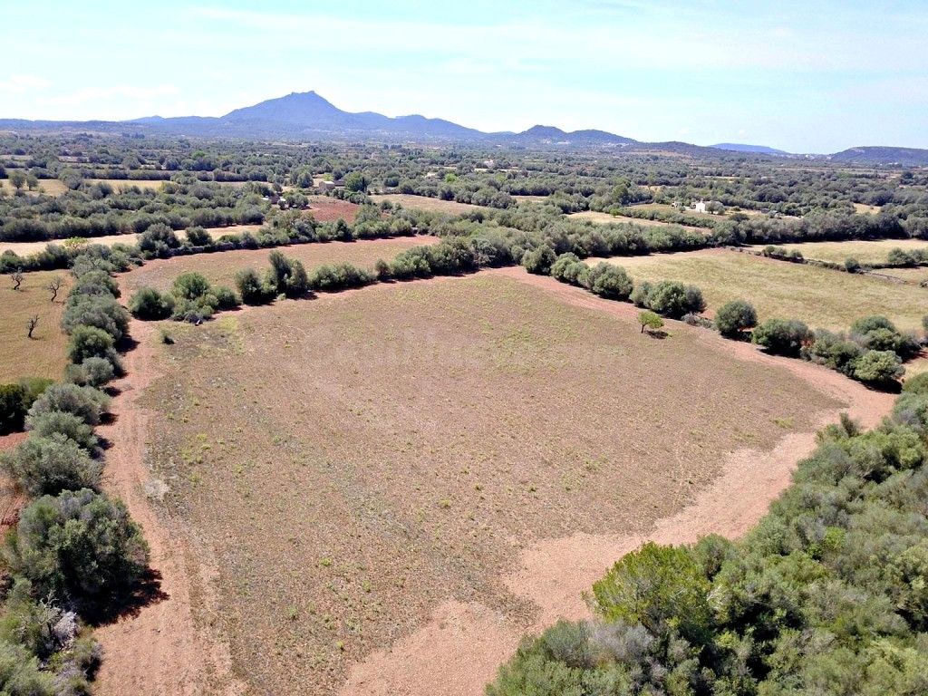 Solar residencial en Venta en Felanitx Baleares - foto 5