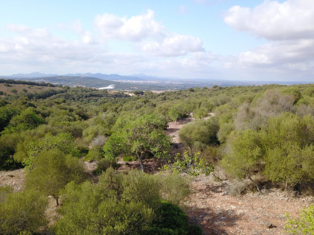 Solar residencial en Venta en Manacor Baleares - foto 4