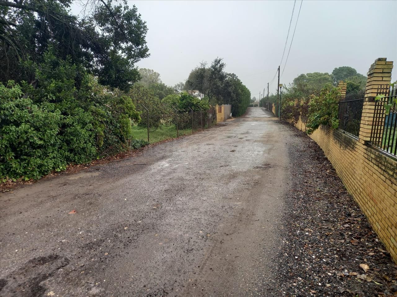 Venta finca rústica en Bollullos de la Mitación (Sevilla) - foto 4