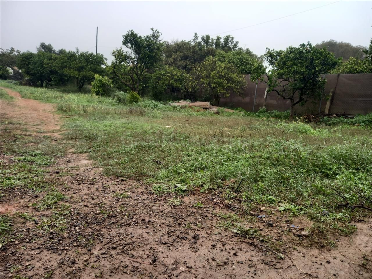 Venta finca rústica en Bollullos de la Mitación (Sevilla) - foto 5