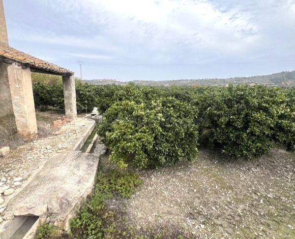 Piso 1051m² en venta - Comunidad valenciana - foto 4