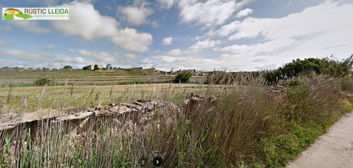 HUERTO EN VENTA EN LOS ALREDEDORES DE TÀRREGA.
