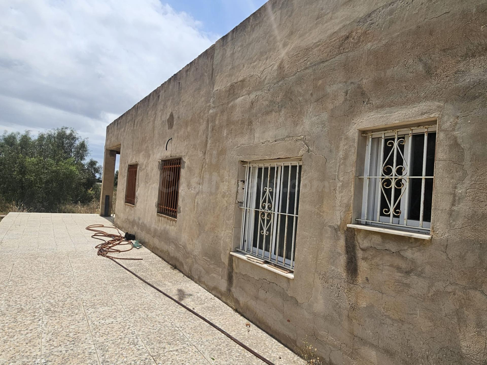 CASA DE CAMPO PARA REFORMAR EN PARTIDA JUBALCOI- ELCHE - foto 4