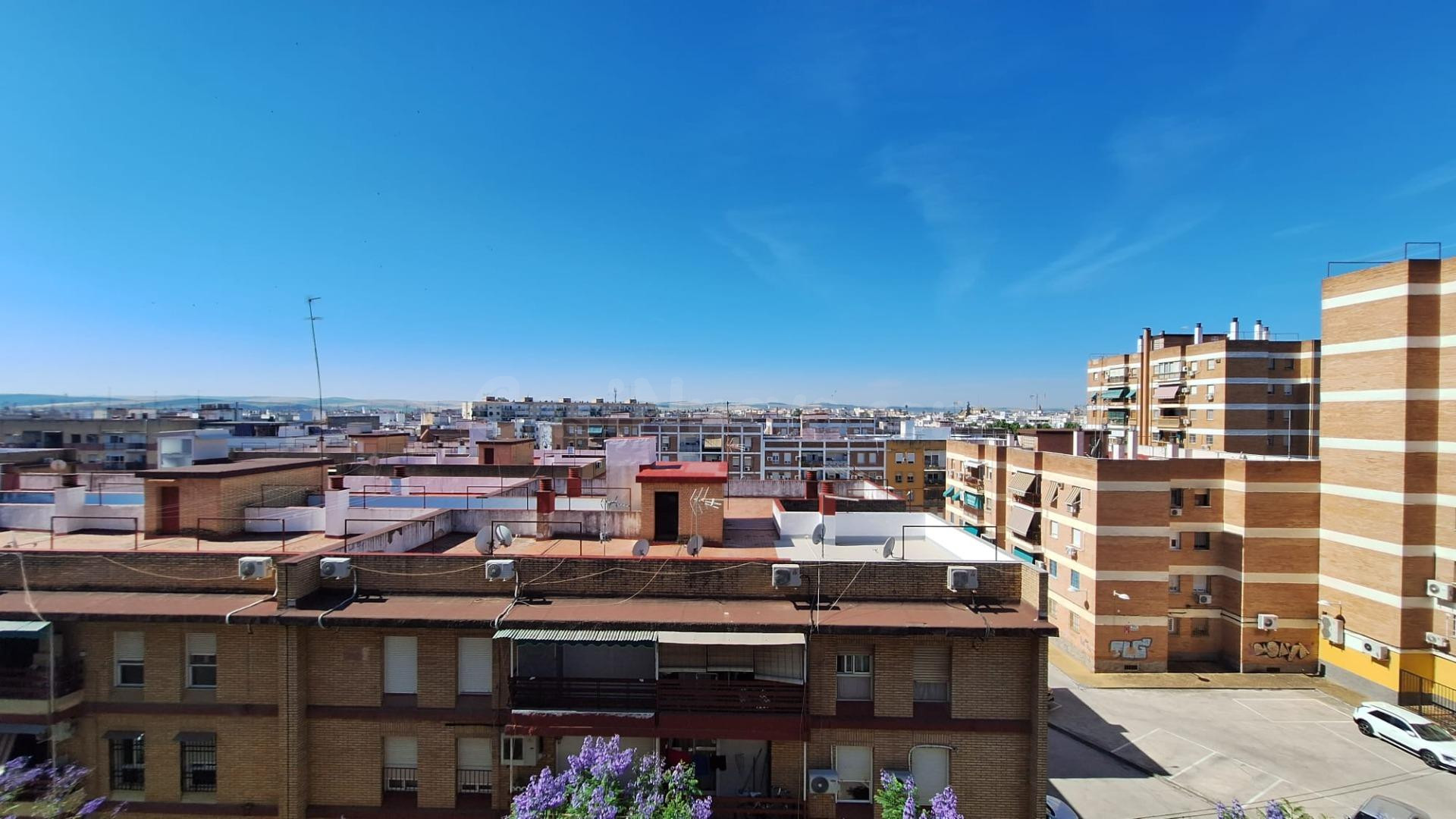 D. ¡¡ PISO EN AVENIDA DE CARLOS III CON GARAJE Y ASCENSOR PARA REFORMAR!!