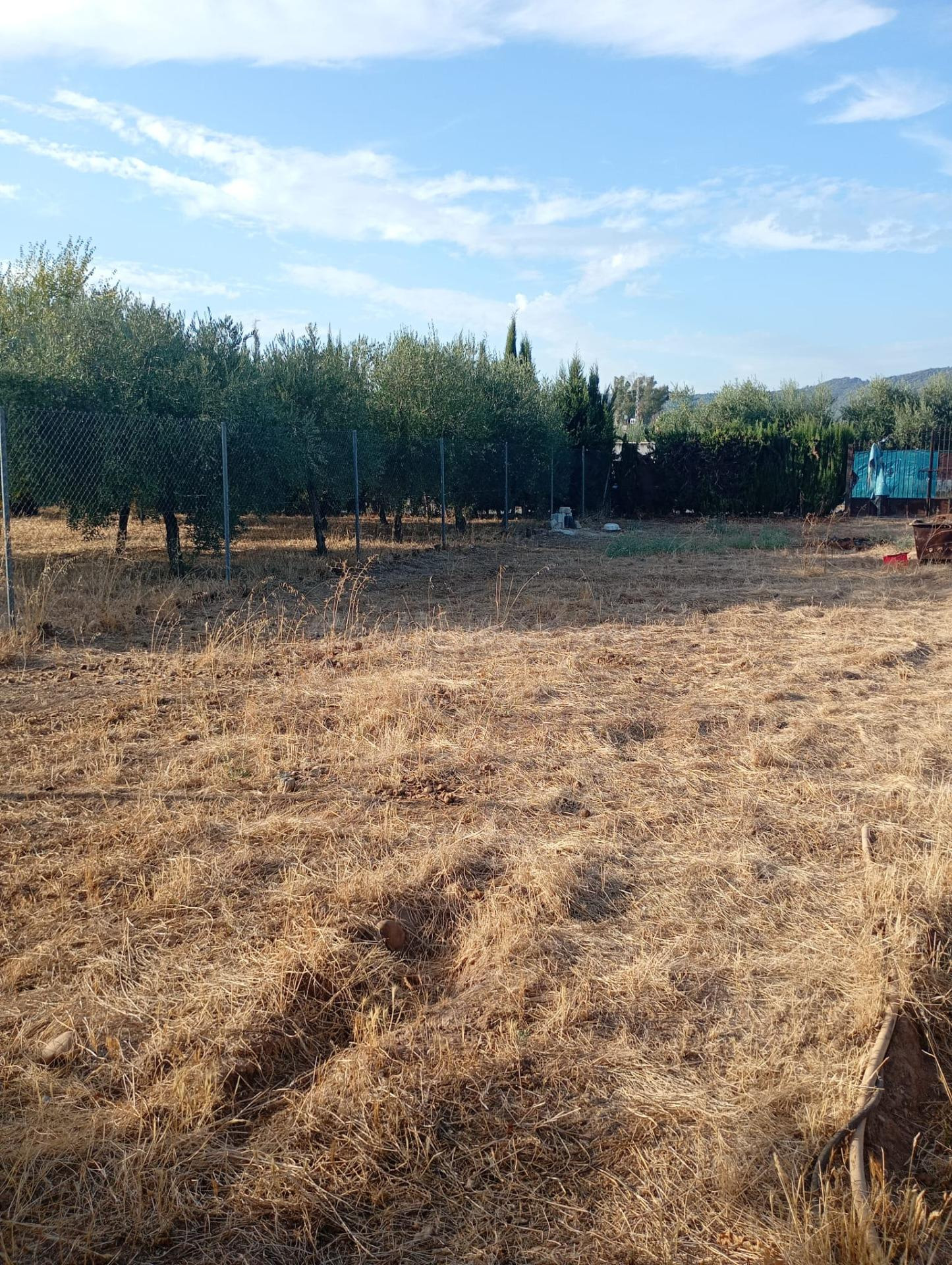 Terreno rústico de 1.000m2 en La Golondrina