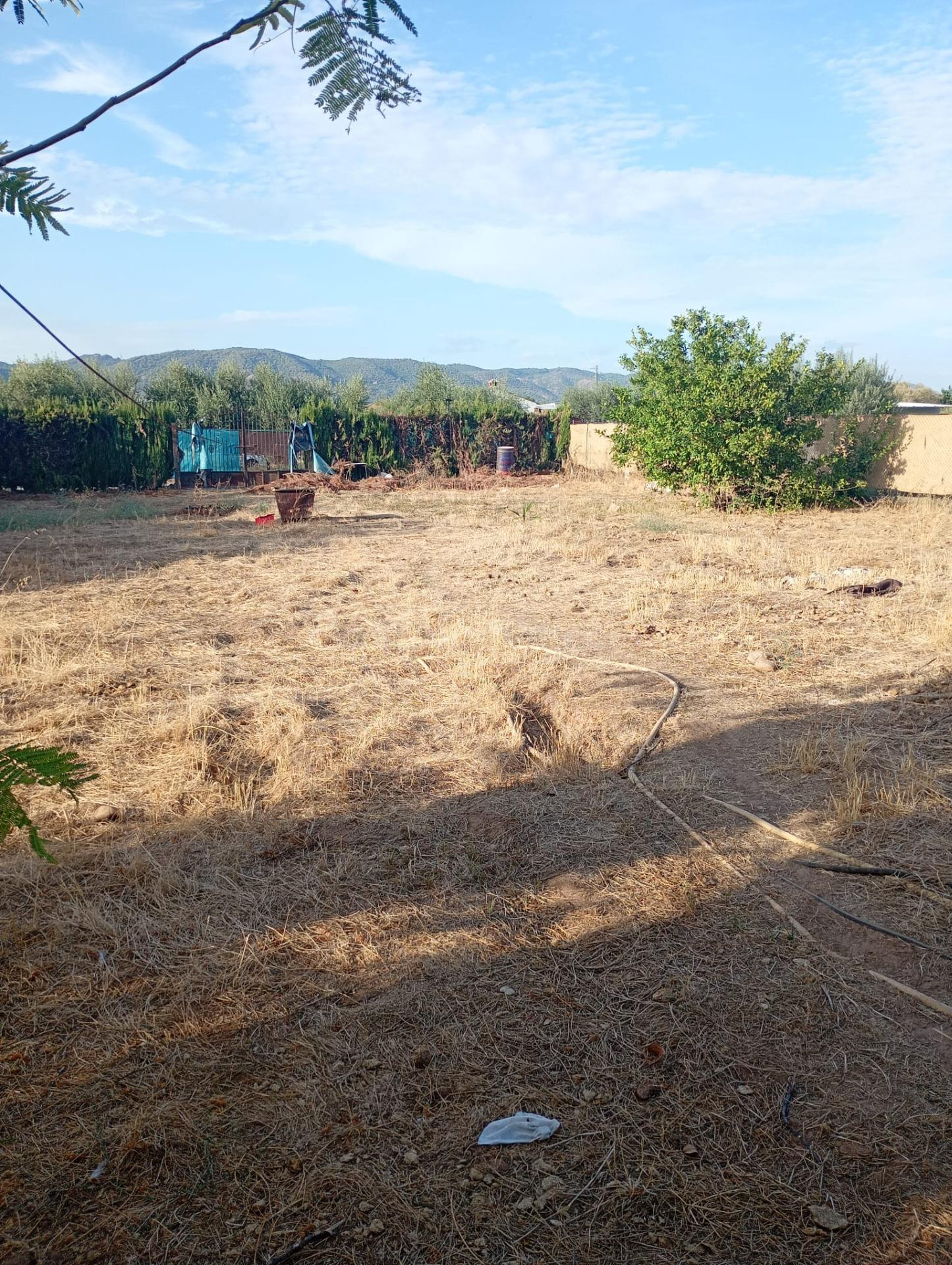Terreno rústico de 1.000m2 en La Golondrina - foto 2