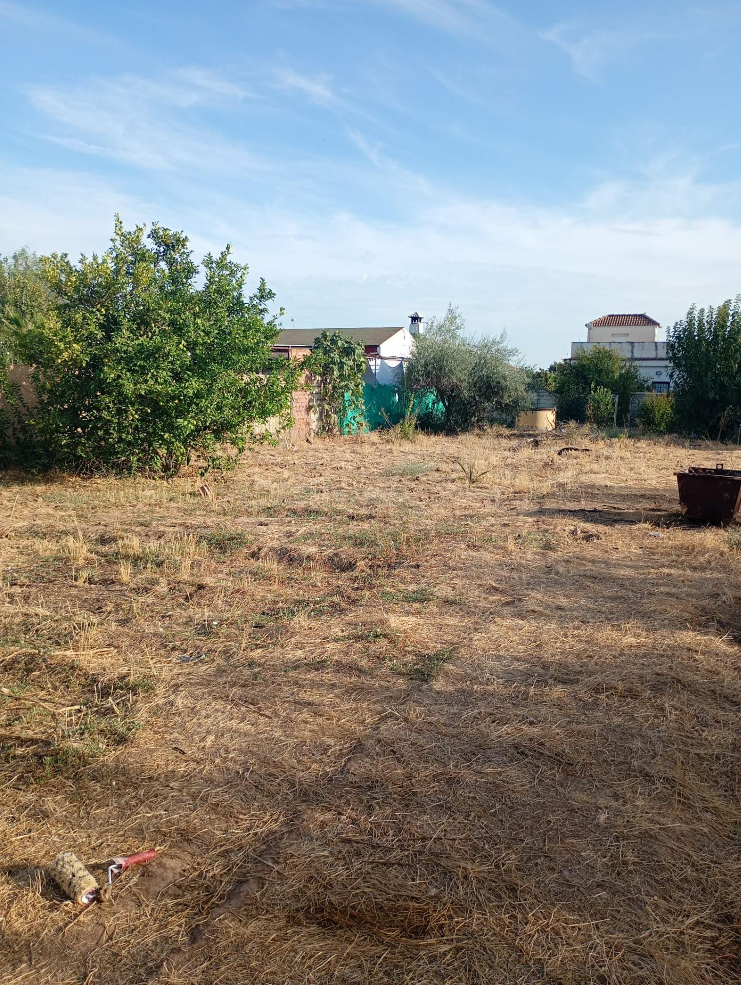 Terreno rústico de 1.000m2 en La Golondrina - foto 3