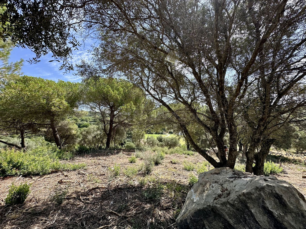 Parcela en venta - Sotogrande - Alto - foto 2