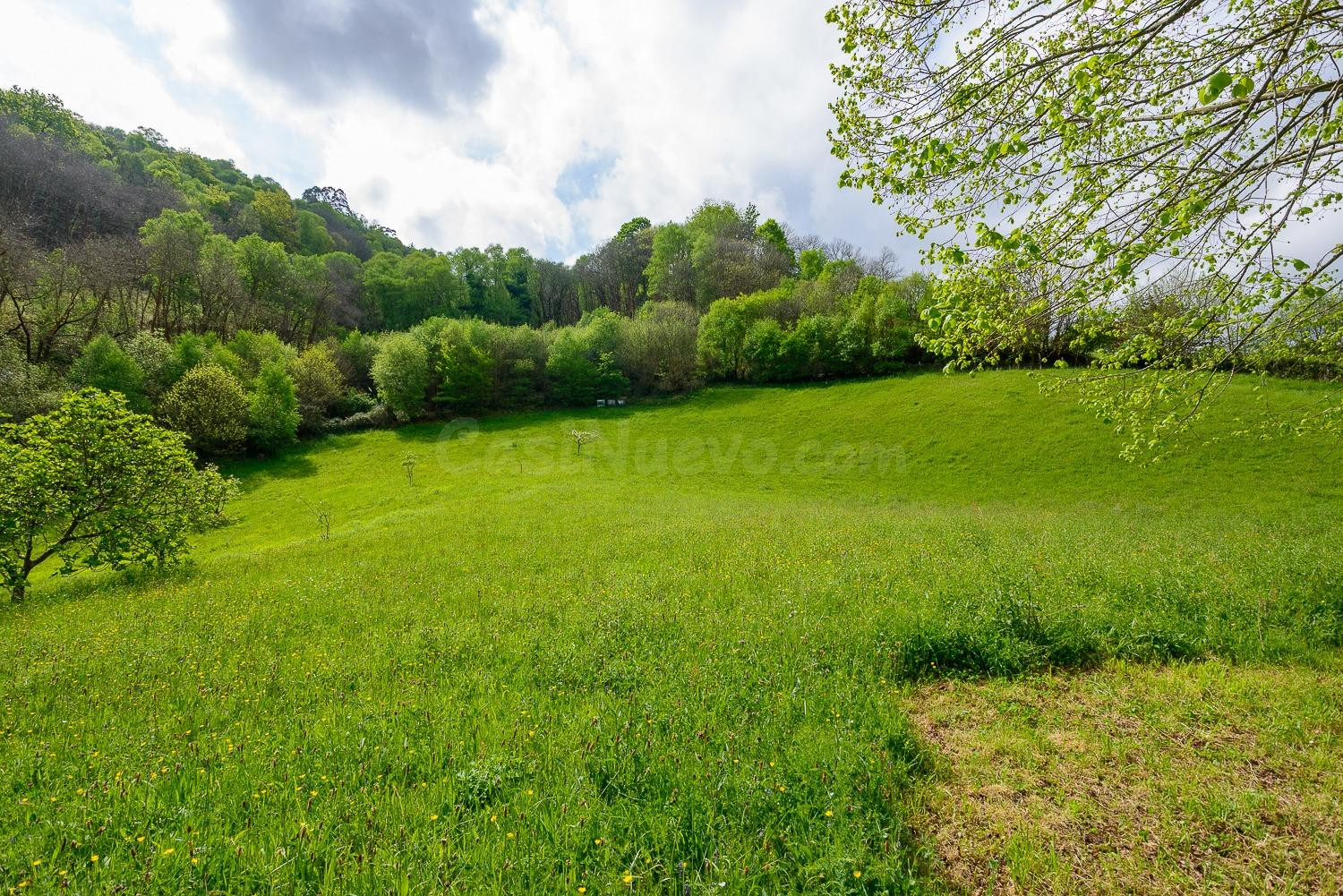 Casa  asturiana de piedra a rehabilitar con finca de 32.000  - foto 5