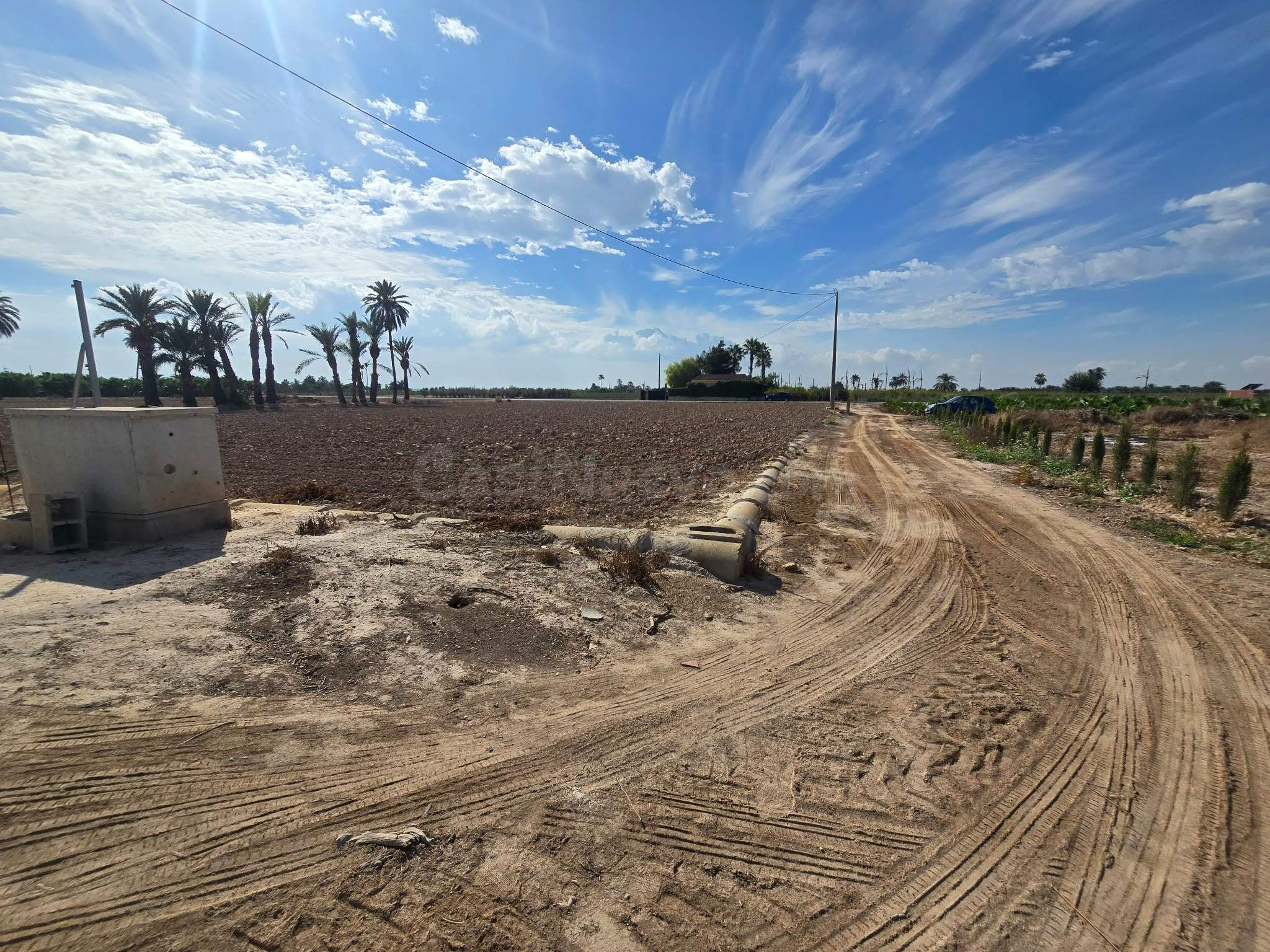PARCELA CON LUZ Y AGUA DE GOTEO CON CONTADOR - foto 4