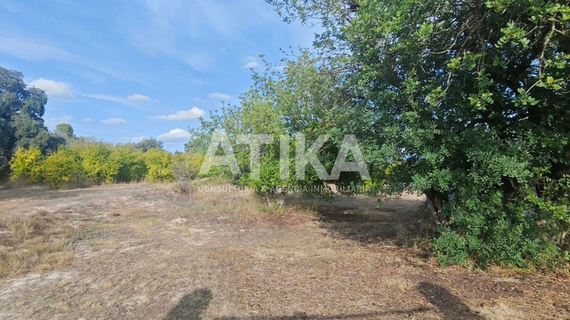 TERRENO RURAL EN VENTA - ONTINYENT - foto 4