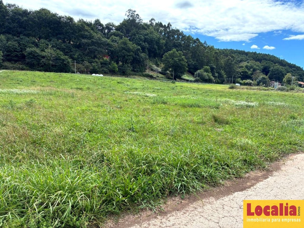 TERRENO RÚSTICO DE 4.743 m² EN PIÉLAGOS - foto 2