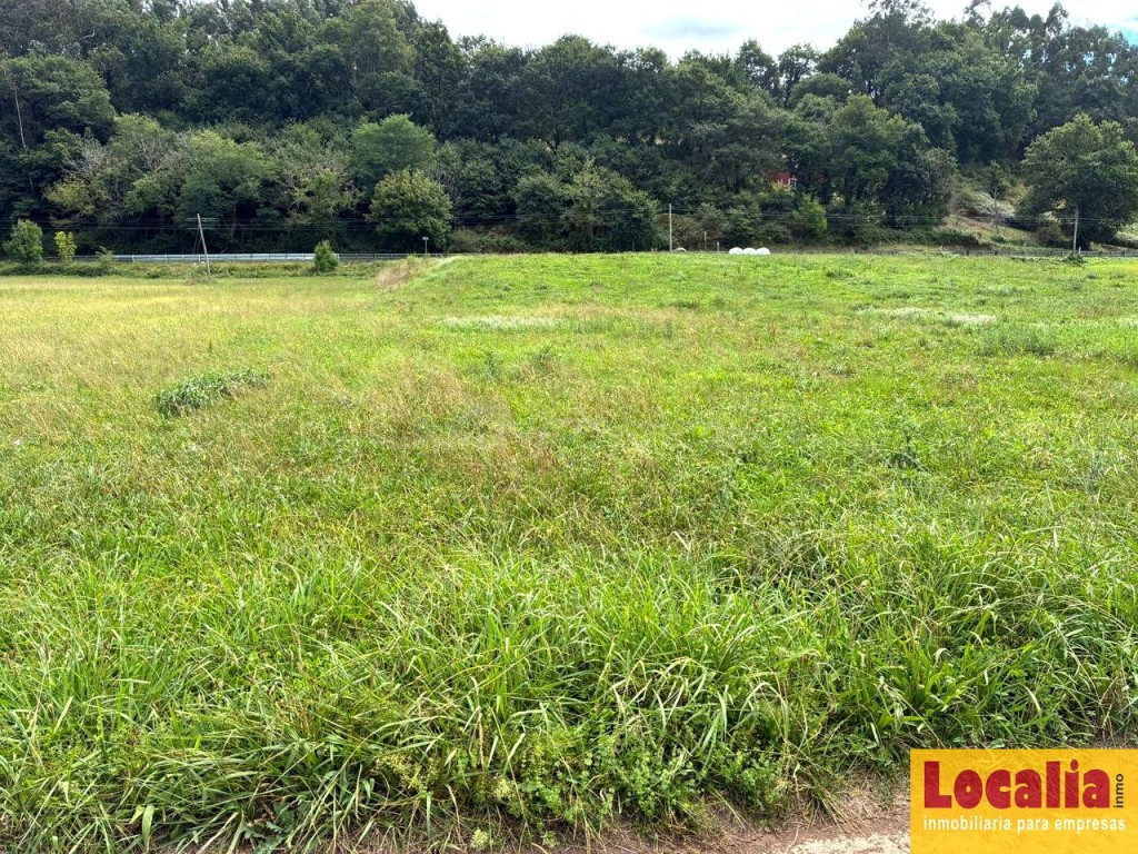 TERRENO RÚSTICO DE 4.743 m² EN PIÉLAGOS - foto 5